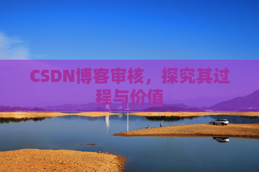 CSDN博客审核，探究其过程与价值